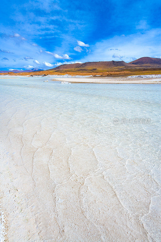 Tuyajto泻湖和盐湖在Altiplano(高安第斯高原)海拔超过4000米，盐壳在海岸，Los Flamencos国家保护区，阿塔卡马沙漠，智利，南美安托法加斯塔地区
